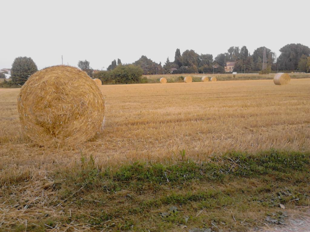 Green Fields ปาโดวา ภายนอก รูปภาพ