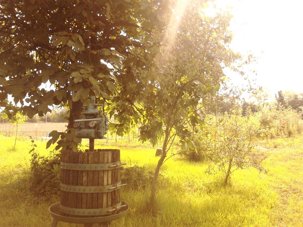 Green Fields ปาโดวา ภายนอก รูปภาพ