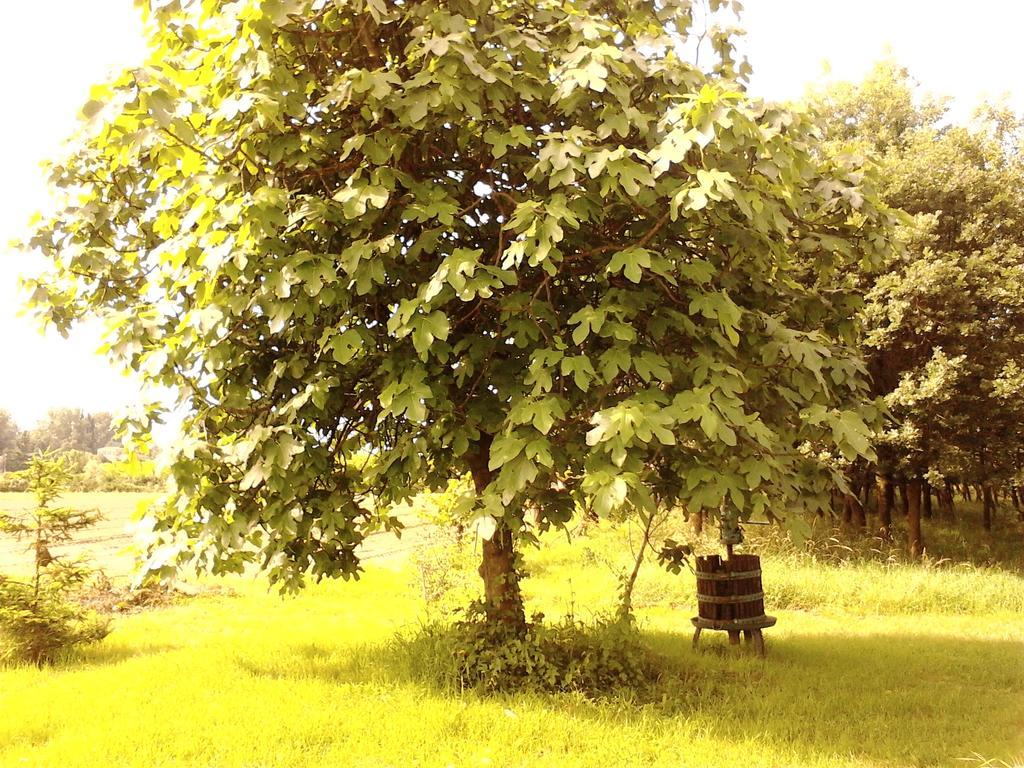Green Fields ปาโดวา ภายนอก รูปภาพ